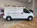 DFSK VAN 2 Places Caméra 2 Portes Lat. Clim. Bluetooth Blanc - thumbnail 17