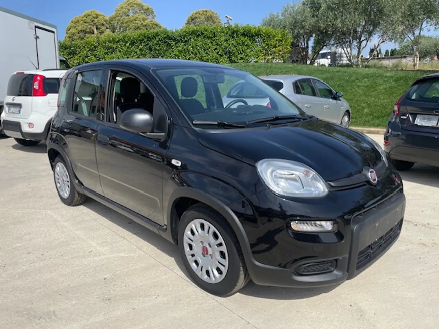 Fiat Panda Panda 1.0 FireFly S&S Hybrid City Life Nero - 2