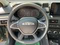 Dacia Sandero Stepway Extreme 1.0 TCe 110 SITZHEIZUNG NAVI TOTER Zöld - thumbnail 8