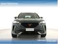 CUPRA Formentor 2.0 tdi 4drive 150cv dsg Verde - thumbnail 3