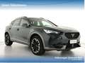 CUPRA Formentor 2.0 tdi 4drive 150cv dsg Verde - thumbnail 4