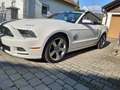 Ford Mustang GT Premium Cabrio Automatik Weiß - thumbnail 8
