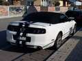 Ford Mustang GT Premium Cabrio Automatik Weiß - thumbnail 6