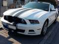 Ford Mustang GT Premium Cabrio Automatik Weiß - thumbnail 7