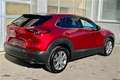 Mazda CX-30 G122 Comfort+/SO/ST/PR/TE mit Paket SOUND ST Rot - thumbnail 5