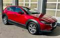 Mazda CX-30 G122 Comfort+/SO/ST/PR/TE mit Paket SOUND ST Rot - thumbnail 6