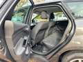 Ford Focus 1.6 Ti-VCT Business AUTOMATIK 39 000 KM Grau - thumbnail 13