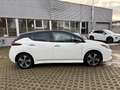 Nissan Leaf Tekna 360° Kamera, SHZ, LHZ, Voll LED, Bose Weiß - thumbnail 3