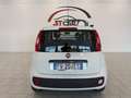 Fiat Panda 1.2 Lounge easypower Gpl 69cv my19 Bianco - thumbnail 5