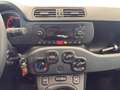Fiat Panda 1.2 Lounge easypower Gpl 69cv my19 Bianco - thumbnail 11