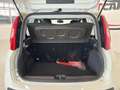 Fiat Panda 1.2 Lounge easypower Gpl 69cv my19 Bianco - thumbnail 13