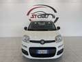 Fiat Panda 1.2 Lounge easypower Gpl 69cv my19 Bianco - thumbnail 2