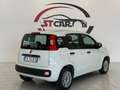 Fiat Panda 1.2 Lounge easypower Gpl 69cv my19 Bianco - thumbnail 4