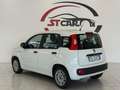 Fiat Panda 1.2 Lounge easypower Gpl 69cv my19 Bianco - thumbnail 6