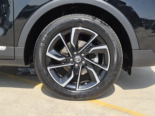 MG ZS view 13