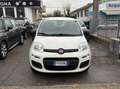 Fiat Panda Panda 1.2 Easy easypower Gpl 69cv NESSUN VINCOLO Blanc - thumbnail 1