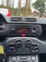 Fiat Panda Panda 1.2 Easy easypower Gpl 69cv NESSUN VINCOLO Blanco - thumbnail 9