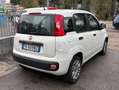 Fiat Panda Panda 1.2 Easy easypower Gpl 69cv NESSUN VINCOLO Wit - thumbnail 5
