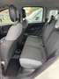 Fiat Panda Panda 1.2 Easy easypower Gpl 69cv NESSUN VINCOLO Blanco - thumbnail 12