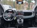 Fiat Panda Panda 1.2 Easy easypower Gpl 69cv NESSUN VINCOLO Blanco - thumbnail 7