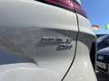 BYD Seal U DM-i Comfort 160kW Beige - thumbnail 6