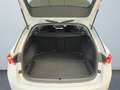 Skoda Octavia Combi Ambition 1.0 TSI Winterpaket MATRIX Weiß - thumbnail 14