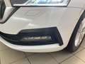 Skoda Octavia Combi Ambition 1.0 TSI Winterpaket MATRIX Weiß - thumbnail 19