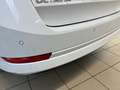 Skoda Octavia Combi Ambition 1.0 TSI Winterpaket MATRIX Weiß - thumbnail 20