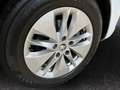 Skoda Octavia Combi Ambition 1.0 TSI Winterpaket MATRIX Weiß - thumbnail 15