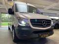 Mercedes-Benz Sprinter 319 CDI Maxi Hoch+Lang*Garantie*1.Hand* White - thumbnail 19