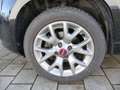 Fiat Panda 1.2 8V Lounge Klima Bluetooth Alu PDC Schwarz - thumbnail 20