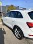 Audi Q5 2.0 tdi Advanced Plus quattro 190cv s-tronic - thumbnail 2