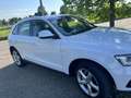 Audi Q5 2.0 tdi Advanced Plus quattro 190cv s-tronic - thumbnail 15