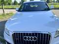Audi Q5 2.0 tdi Advanced Plus quattro 190cv s-tronic - thumbnail 13