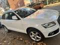 Audi Q5 2.0 tdi Advanced Plus quattro 190cv s-tronic - thumbnail 9