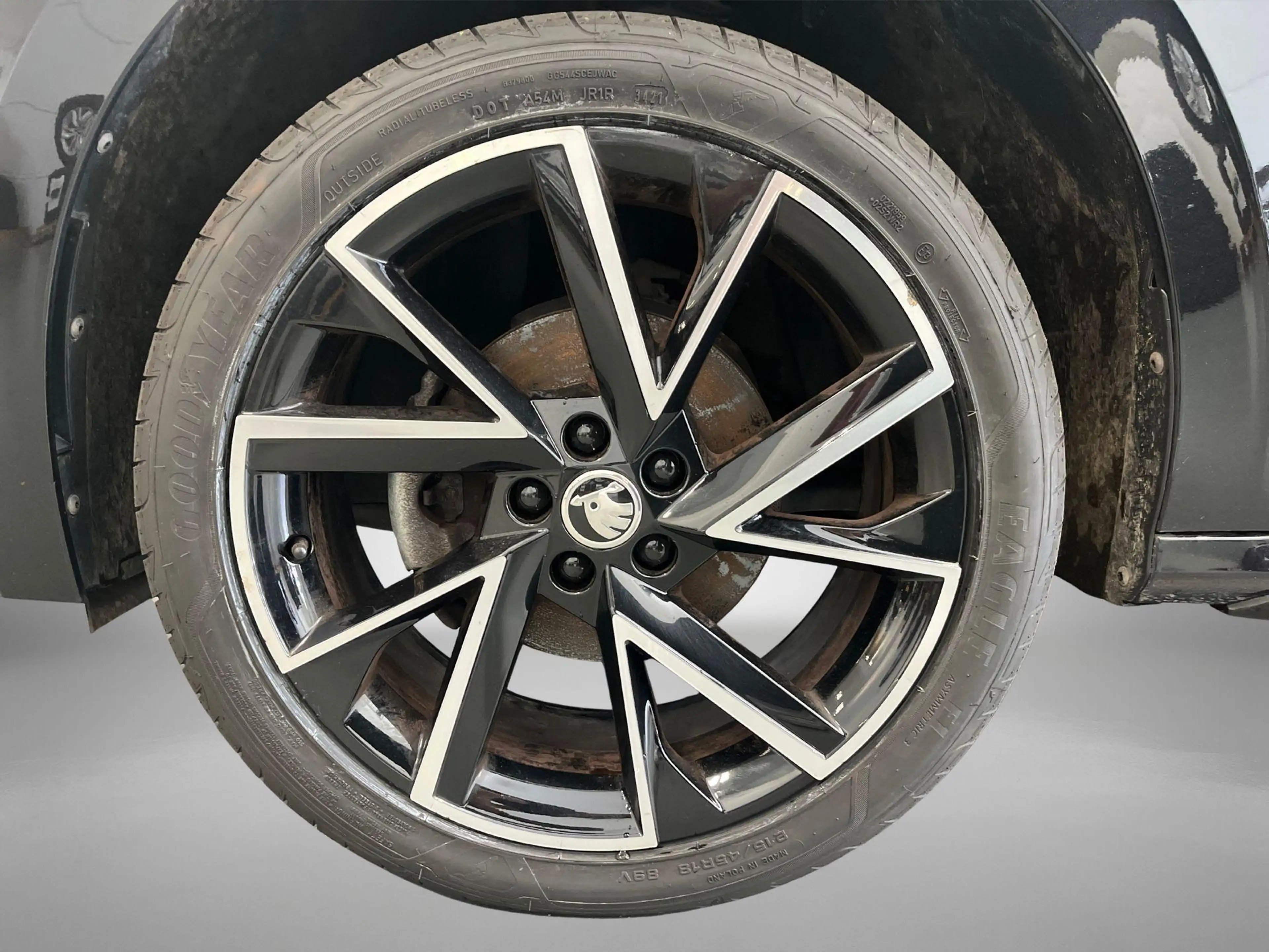 Skoda Kamiq 1.0 TSI 110pk DSG Sport Business · Camera · Panora — photo 8