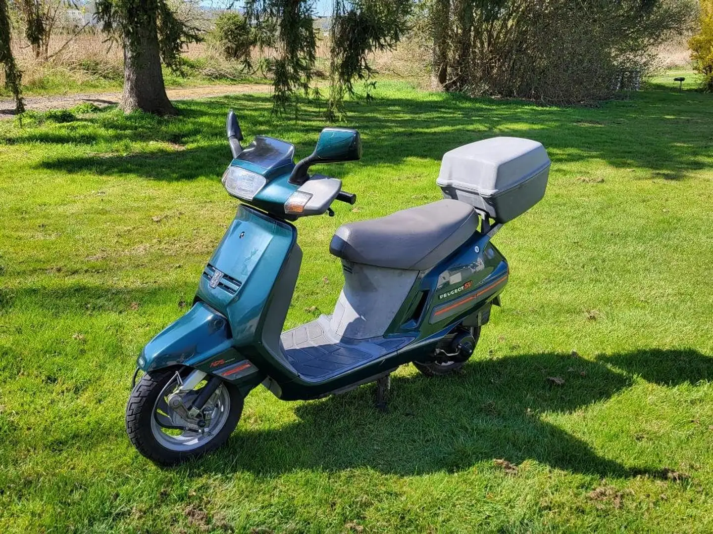 Peugeot SV 50 Grün - 1