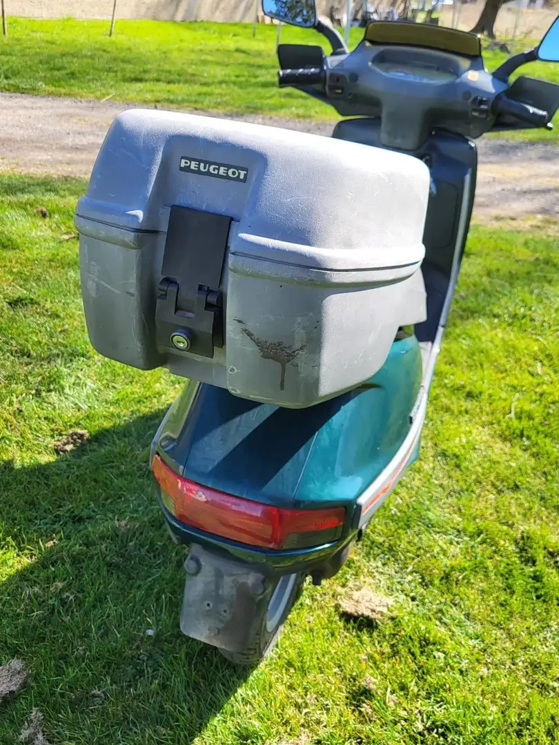 Peugeot SV 50 Grün - 2