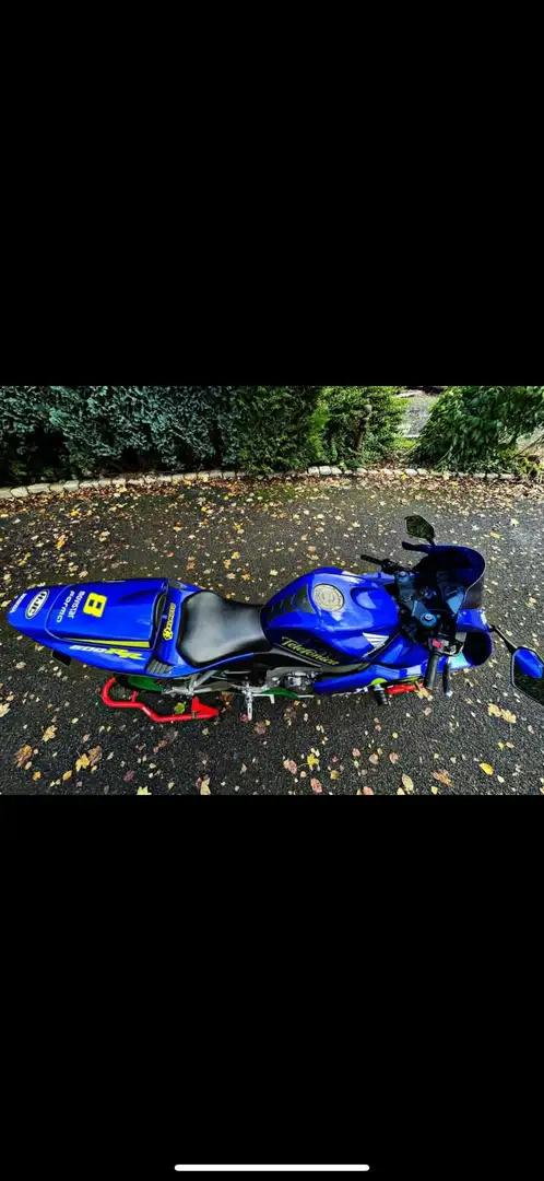 Honda CBR 600 leovinci - 1