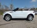 Land Rover Range Rover Evoque 2.0 TD4 180 CV CABRIO AUTOMATICA 4X4 46.000 KM!! Grau - thumbnail 7