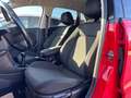 Volkswagen Polo Highline | PICKERL 05/27 | TOP GEPFLEGT | 1.6 TDI Rot - thumbnail 12