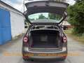 Volkswagen Golf Plus Klima,4x el.F,PTS,TÜV,SitzHzg Brun - thumbnail 15