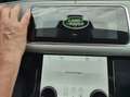 Land Rover Range Rover Evoque D150 SE Weiß - thumbnail 3