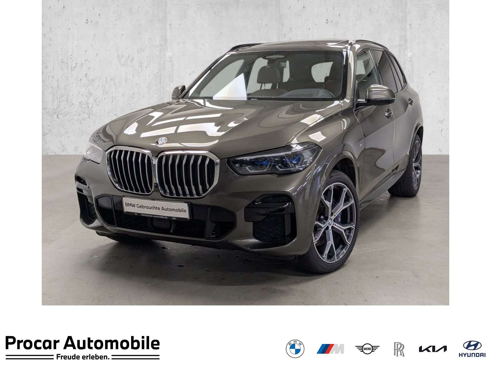 BMW X5 occasion
