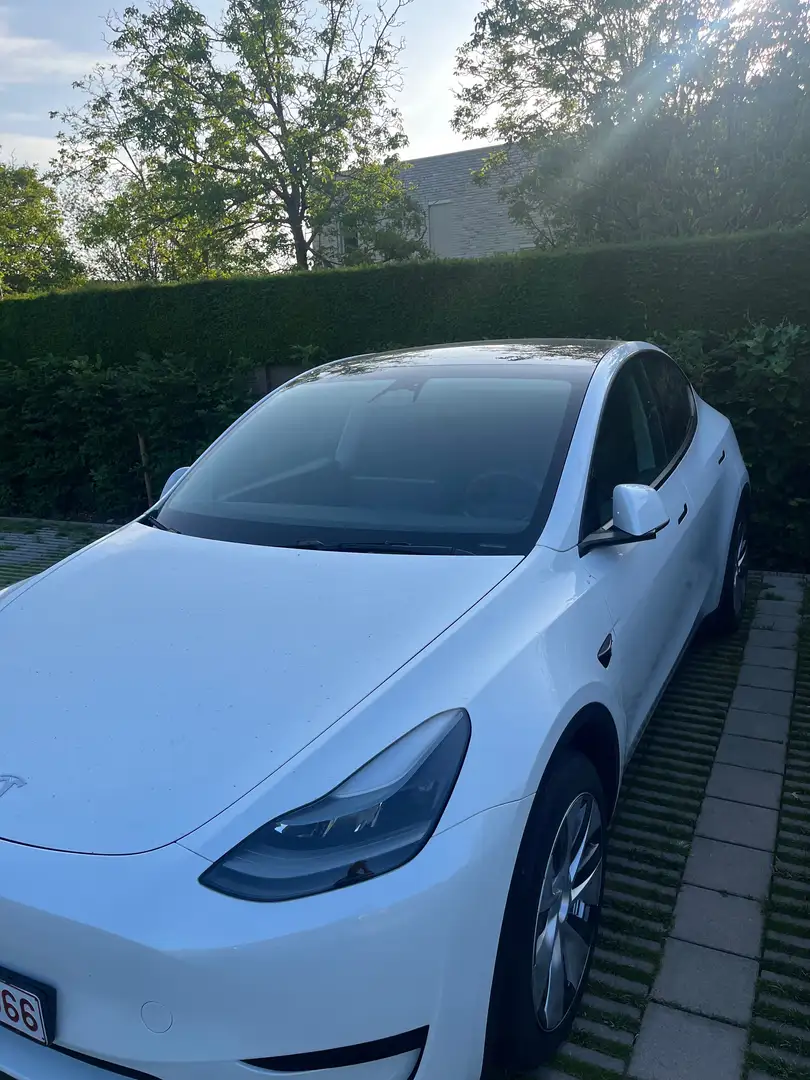 Tesla Model Y Model Y RWD Blanc - 2