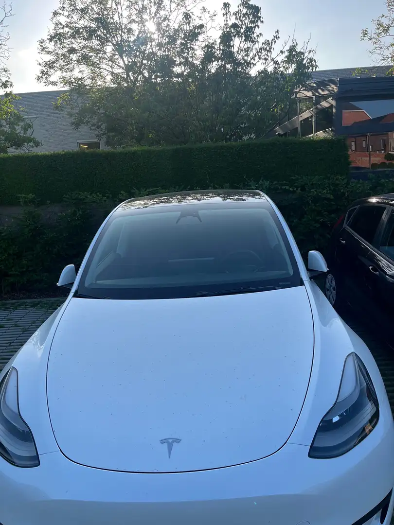 Tesla Model Y Model Y RWD Blanc - 1