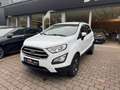 Ford EcoSport Cool & Connect Blanc - thumbnail 1