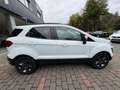 Ford EcoSport Cool & Connect Blanc - thumbnail 8
