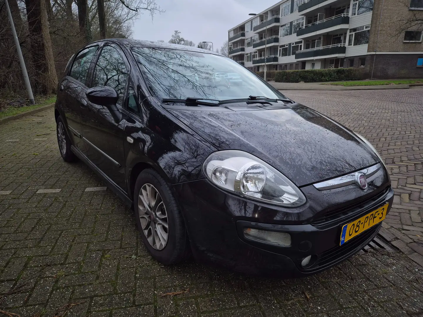 Fiat Punto Punto 1.3 M-Jet Dynamic Negru - 2