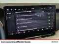 Skoda Octavia wagon 2.0 tdi executive 150cv dsg Grau - thumbnail 17